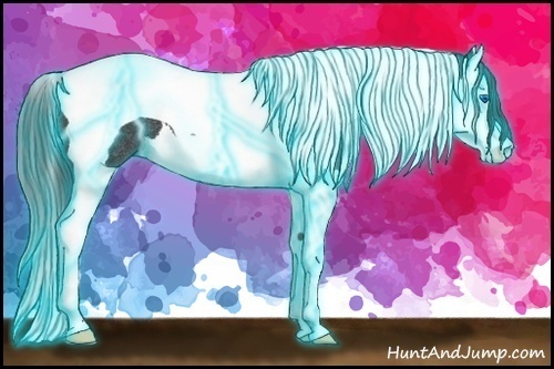 Horse Color:Thunderstruck Black Splash Tobiano Rabicano