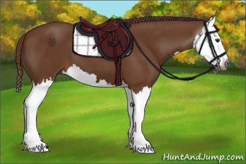 Horse Color:Gray Chestnut Splash 