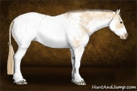 Horse Color:White Spotted Red Dun Sabino Frame Blanket 