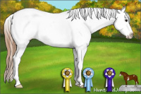 Horse Color:White Spotted Blue Roan Splash Frame Appaloosa 