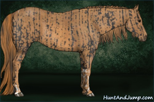 Horse Color: Blue Roan Tobiano Rabicano  Brindle