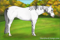 Horse Color:White Spotted Black Splash Frame Blanket 