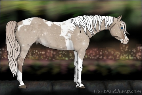 Horse Color: Silver Grullo Splash Tobiano 