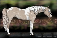 Horse Color:Silver Grullo Splash Tobiano