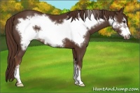 Horse Color:Liver Chestnut Frame 