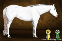 Horse Color:White Spotted Blue Roan Splash Frame Appaloosa 
