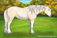 Horse Color:Palomino Pearl Splash Rabicano 