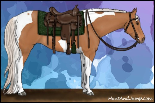 Horse Color:Silver Bay Sabino Tobiano 