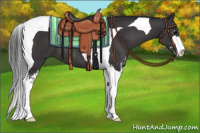 Horse Color:Buckskin Sabino Tobiano 