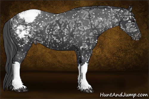 Horse Color:Black Ice Snowcap 