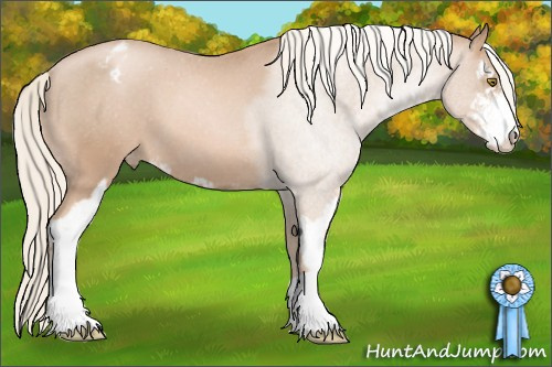 Horse Color: Liver Red Roan Pearl Mushroom Sabino Blanket 