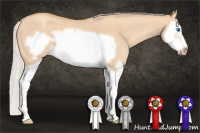 Horse Color:Silver Amber Champagne Roan Dun Splash Frame 