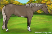 Horse Color:Gray Silver Buckskin Dun Tobiano