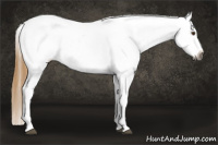 Horse Color:Gray Buckskin Roan Dun Blanket 
