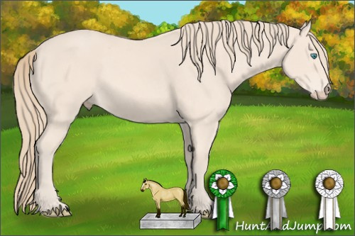 Horse Color: Perlino 
