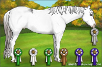 Horse Color:White Spotted Blue Roan Splash Frame Appaloosa 