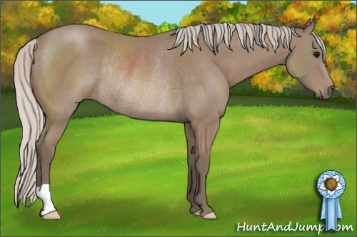 Horse Color: Silver Black Rabicano 
