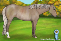 Horse Color:Silver Black Rabicano