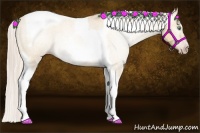 Horse Color:Gray Silver Amber Cream Champagne Roan Dun Splash Tobiano Frame Varnish Rabicano