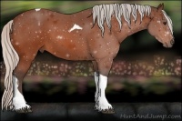 Horse Color:Silver Bay Sabino Tobiano 