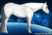 Horse Color:White Spotted Blue Roan Splash Frame Varnish 
