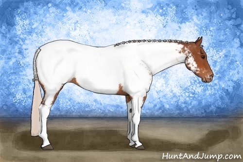 Horse Color: Silver Bay Tobiano Near Fewspot 