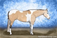 Horse Color:Bay Dun Splash Tobiano Varnish 