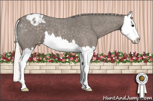 Horse Color: Silver Blue Roan Splash Varnish 