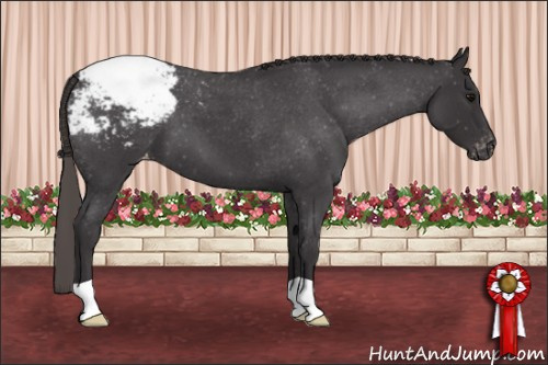Horse Color: Smoky Blue Roan Snowcap 