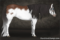 Horse Color:Bay Splash Frame 