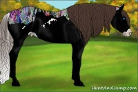 Horse Color:Liver Chestnut Ice Splash 