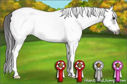 Horse Color: White Spotted Blue Roan Splash Frame Blanket 