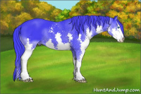Horse Color:Watercolor Brown Splash 