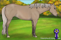 Horse Color:Silver Grullo 