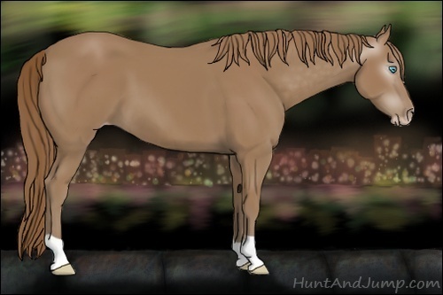 Horse Color:Gray Smoky Creme 
