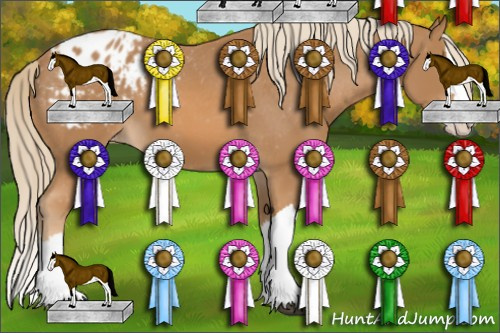 Horse Color: Chestnut Splash Blanket 