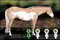 Horse Color:Silver Classic Champagne Sabino Frame