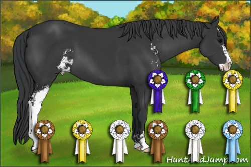 Horse Color: Brown Sabino 