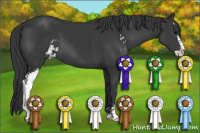 Horse Color:Brown Sabino