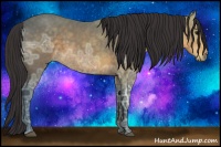 Horse Color:Buckskin Ice Rabicano
