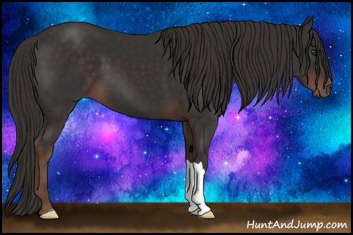 Horse Color: Liver Chestnut 