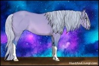 Horse Color:Watercolor Silver Bay Dun 