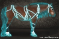 Horse Color:Gray Thunderstruck Bay 
