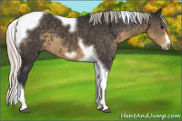 Horse Color:Silver Smoky Black Tobiano Frame 