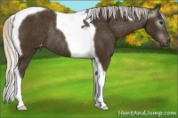 Horse Color:Gray Silver Smoky Black Tobiano Varnish Rabicano