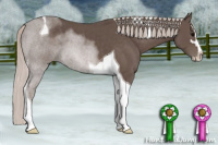 Horse Color:Silver Black Sabino Tobiano 