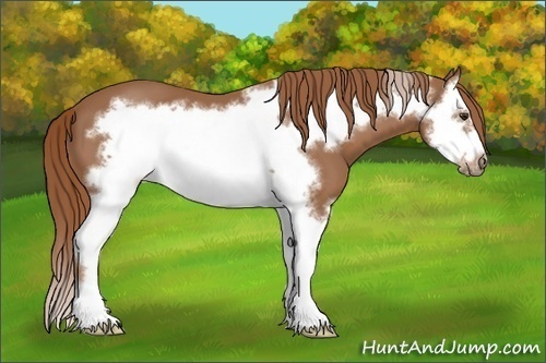 Horse Color:Chestnut Splash Frame 