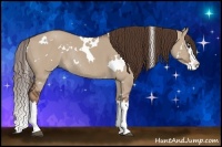 Horse Color:White Spotted Liver Red Dun Sabino Splash Rabicano 