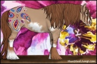 Horse Color:Red Dun Frame 