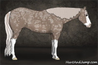 Horse Color:Silver Grullo Ice Splash
